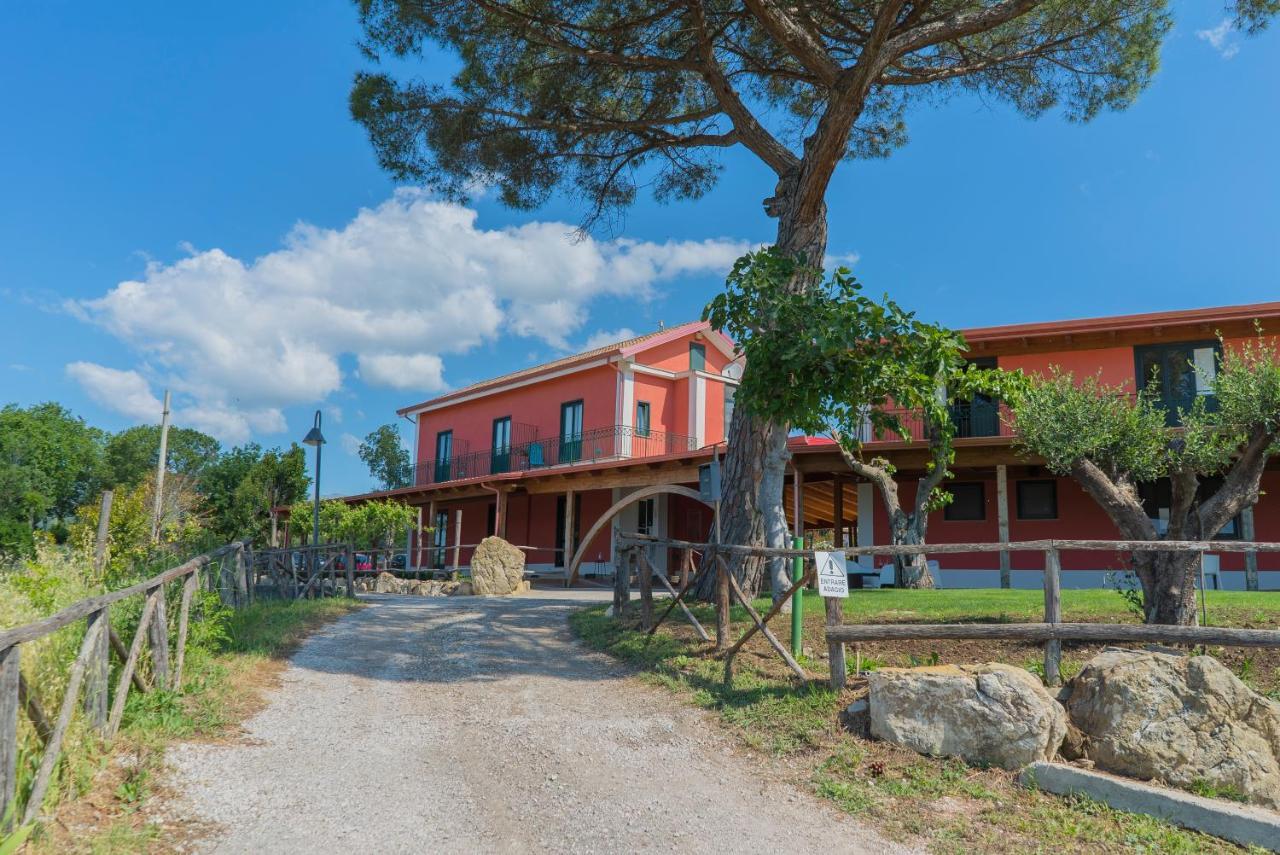 Terra Di Vento Bed & Breakfast Montecorvino Pugliano Exterior foto